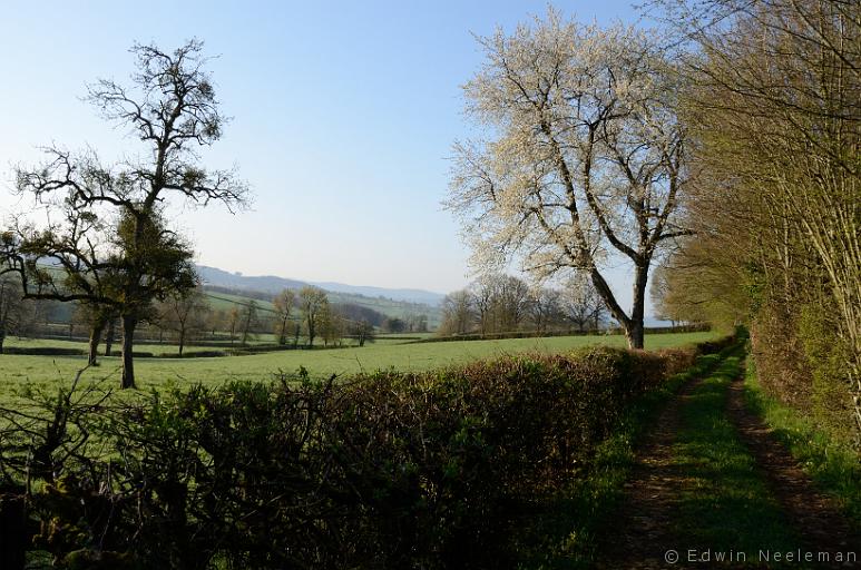 ENE-20130423-0029.jpg - Vareilles (Saône-et-Loire)